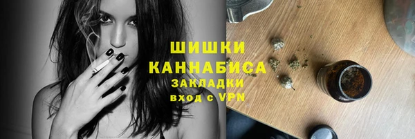 молекула духа Новодвинск