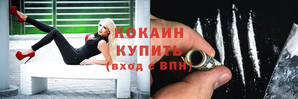 гашик Новокубанск