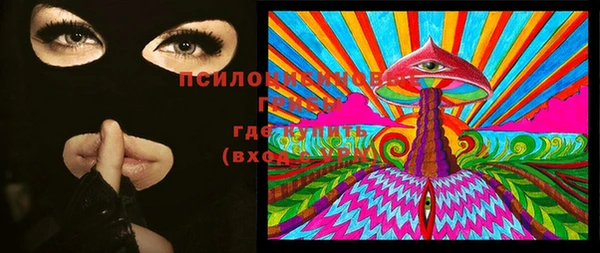 гашик Новокубанск